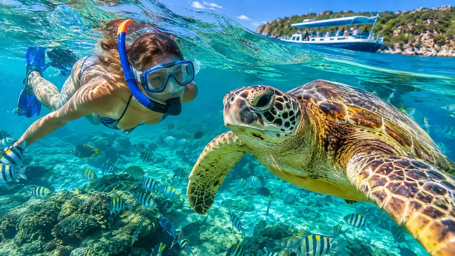 ¿Vale la pena el paseo en barco a Buck Island Reef Turtle Cove?
