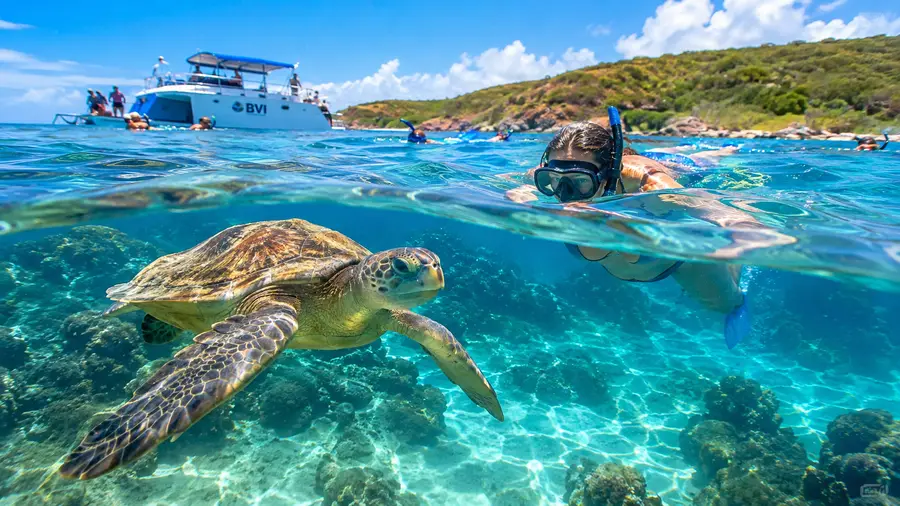 ¿Vale la pena el paseo en barco a Buck Island Reef Turtle Cove?