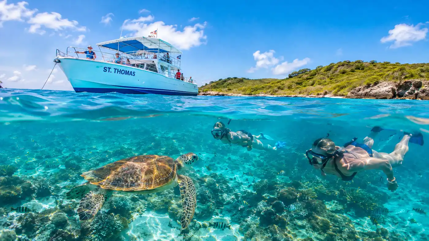 ¿Vale la pena el paseo en barco a Buck Island Reef Turtle Cove?