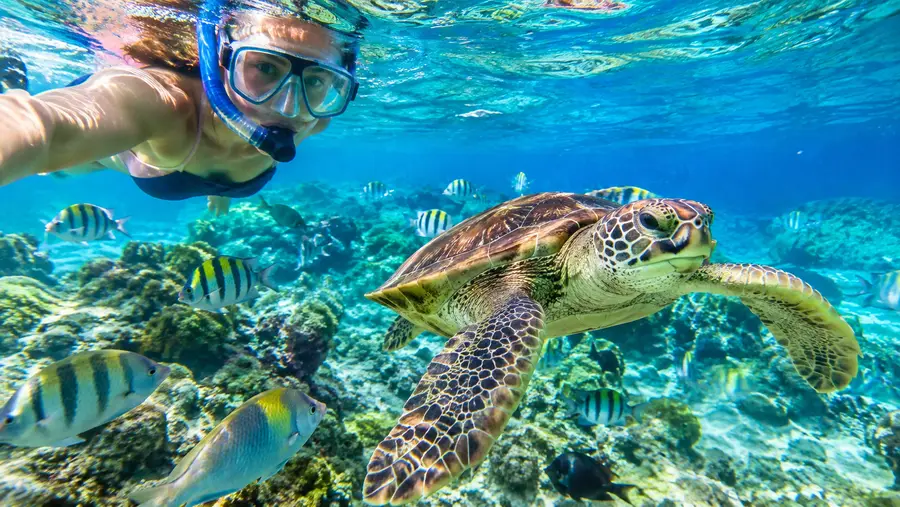 Plage de Coki Point : Guide des eaux cristallines et de la vie marine