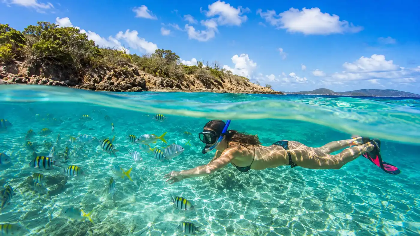Playa Coki: Guía de aguas cristalinas y vida marina