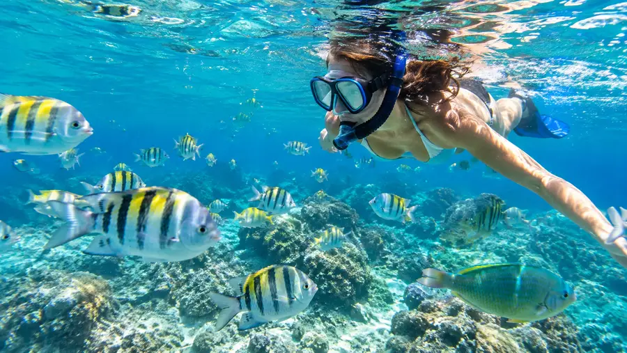 Is Snorkeling Safe in St Thomas Safety Tips Faqs