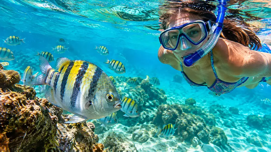 Plage de Lindquist, Smith Bay Park : Guide de snorkeling préservé