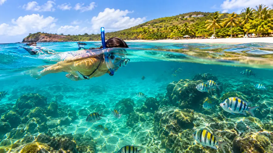 Plage de Lindquist, Smith Bay Park : Guide de snorkeling préservé