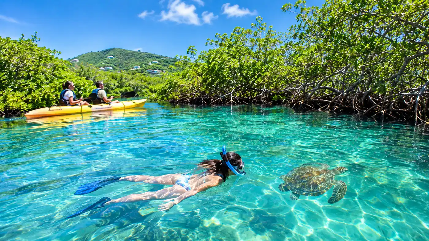 Laguna de Manglar: Kayak, Snorkel y Tour Ecológico Reseña