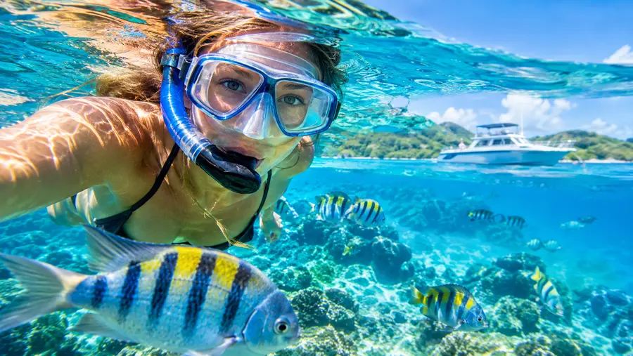Alquileres privados de embarcaciones vs. excursiones grupales de snorkel: ¿cuál elegir?