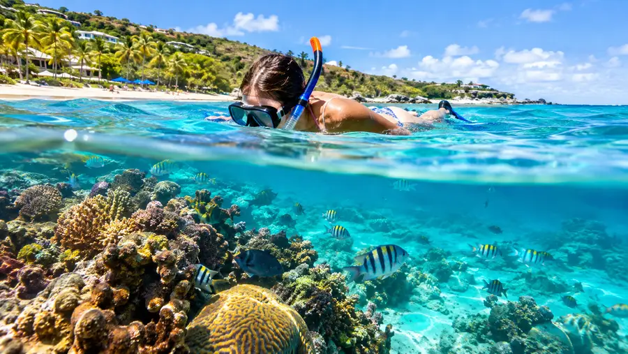 Sapphire Beach the Best Coral Reefs and Amenities