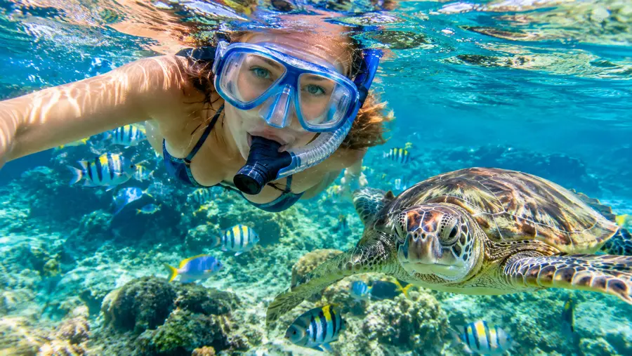 Excursion d'une journée en snorkeling à Saint-Thomas pour les passagers de croisière