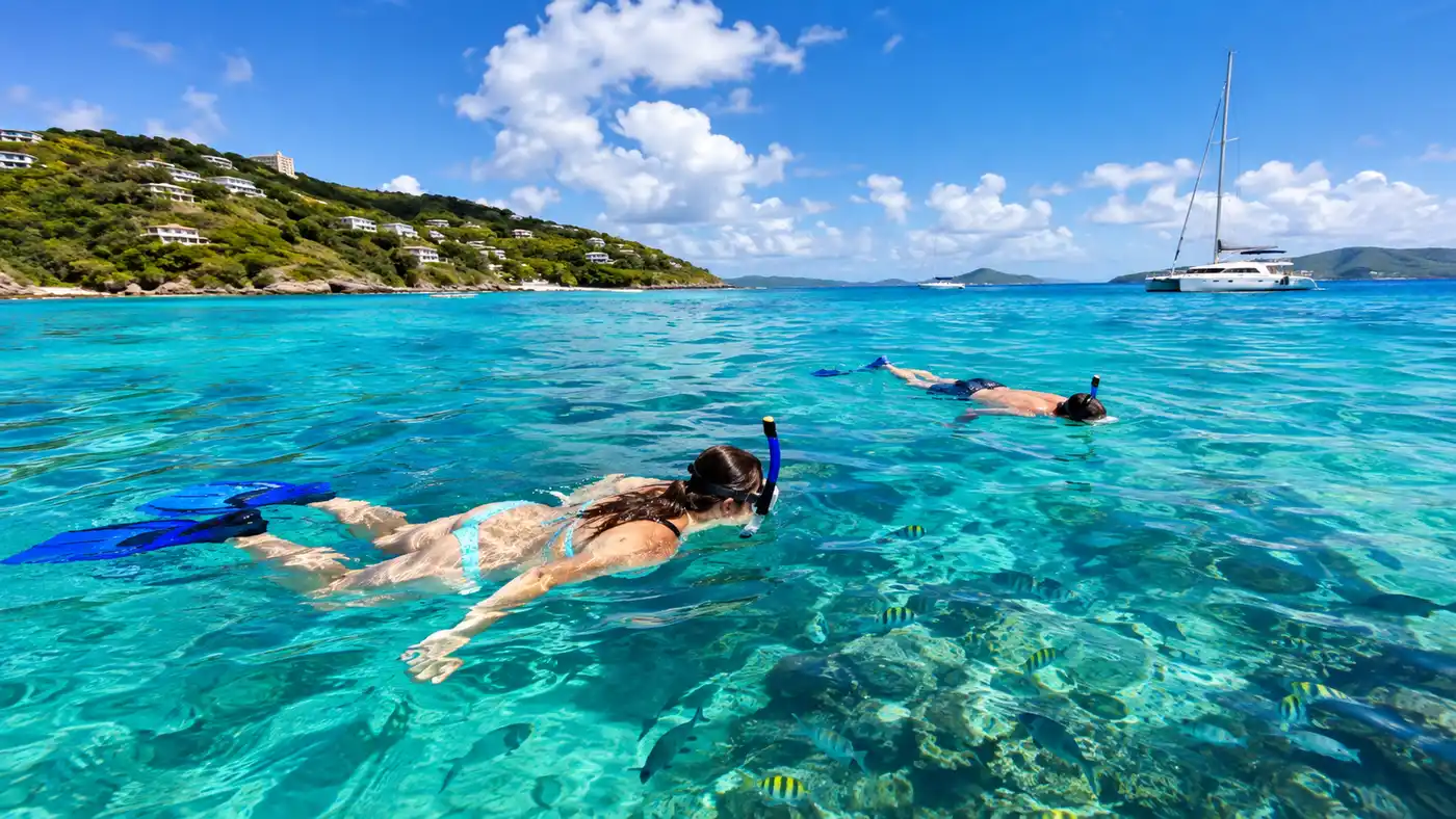 Guía de excursión de un día para hacer snorkel en St. Thomas para pasajeros de crucero