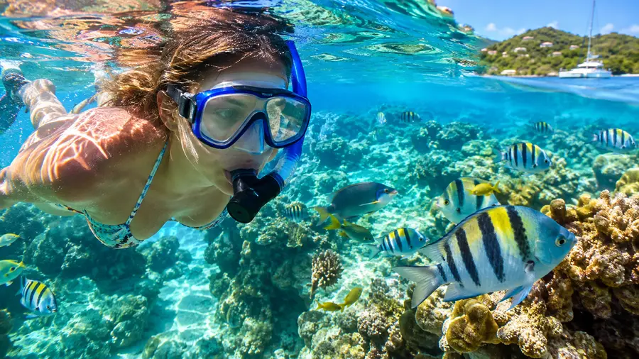 ¿St. Thomas vs. St. John: ¿Qué isla tiene mejor buceo con snorkel?