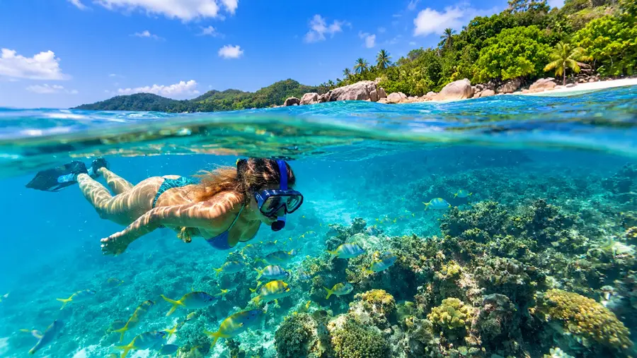 ¿St. Thomas vs. St. John: ¿Qué isla tiene mejor buceo con snorkel?