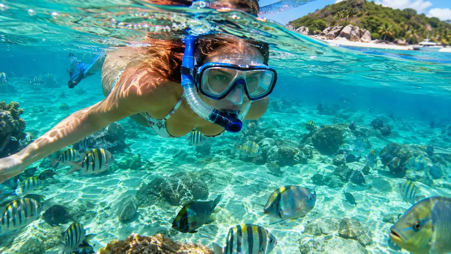 Playa de luna de miel en Water Island: una joya escondida para hacer snorkel