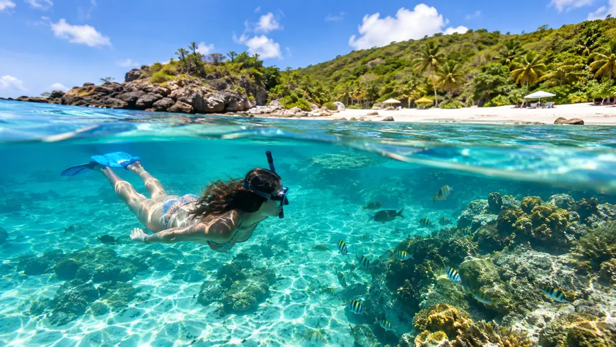 Playa de luna de miel en Water Island: una joya escondida para hacer snorkel