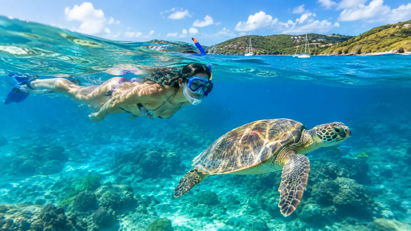 Dónde nadar con tortugas marinas en St. Thomas: Mejores lugares